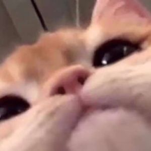 Meet your Posher, Kendra